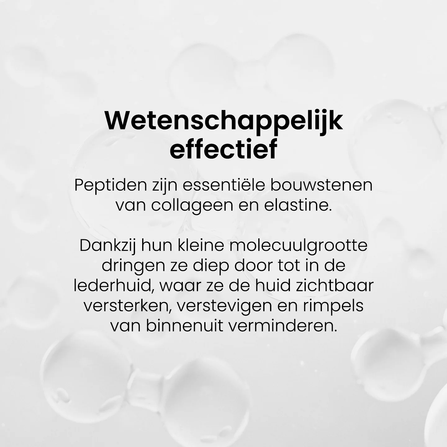 Productafbeelding 5